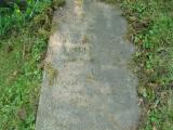 image of grave number 354044